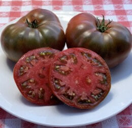 TOMATO PAUL ROBESON
