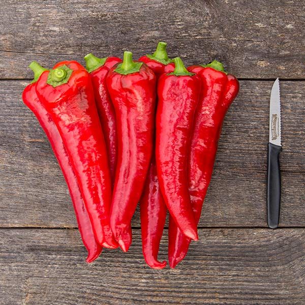 Carmen Organic (F1) Corno di Toro Pepper