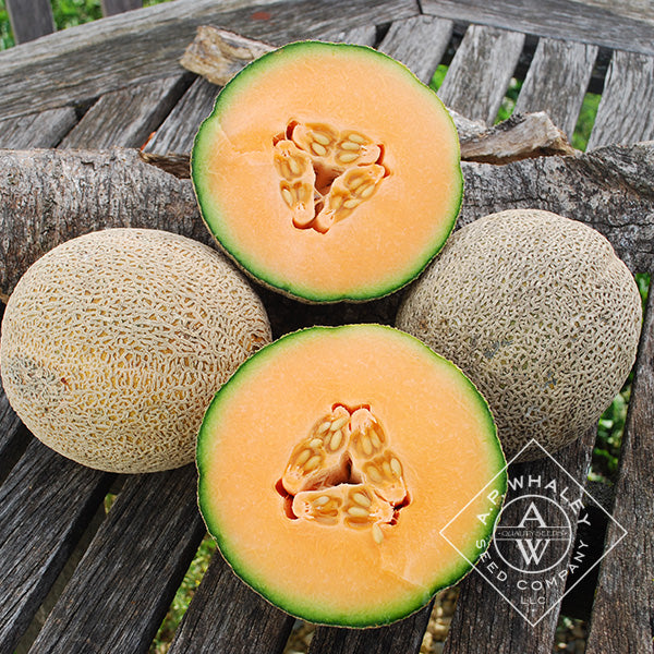 MELON SWEET PASSION