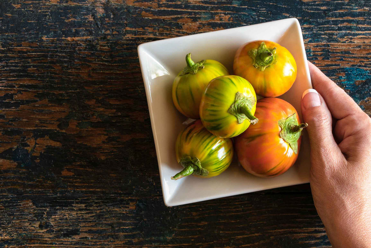Turkish orange eggplant