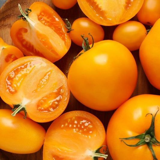TOMATO jublee