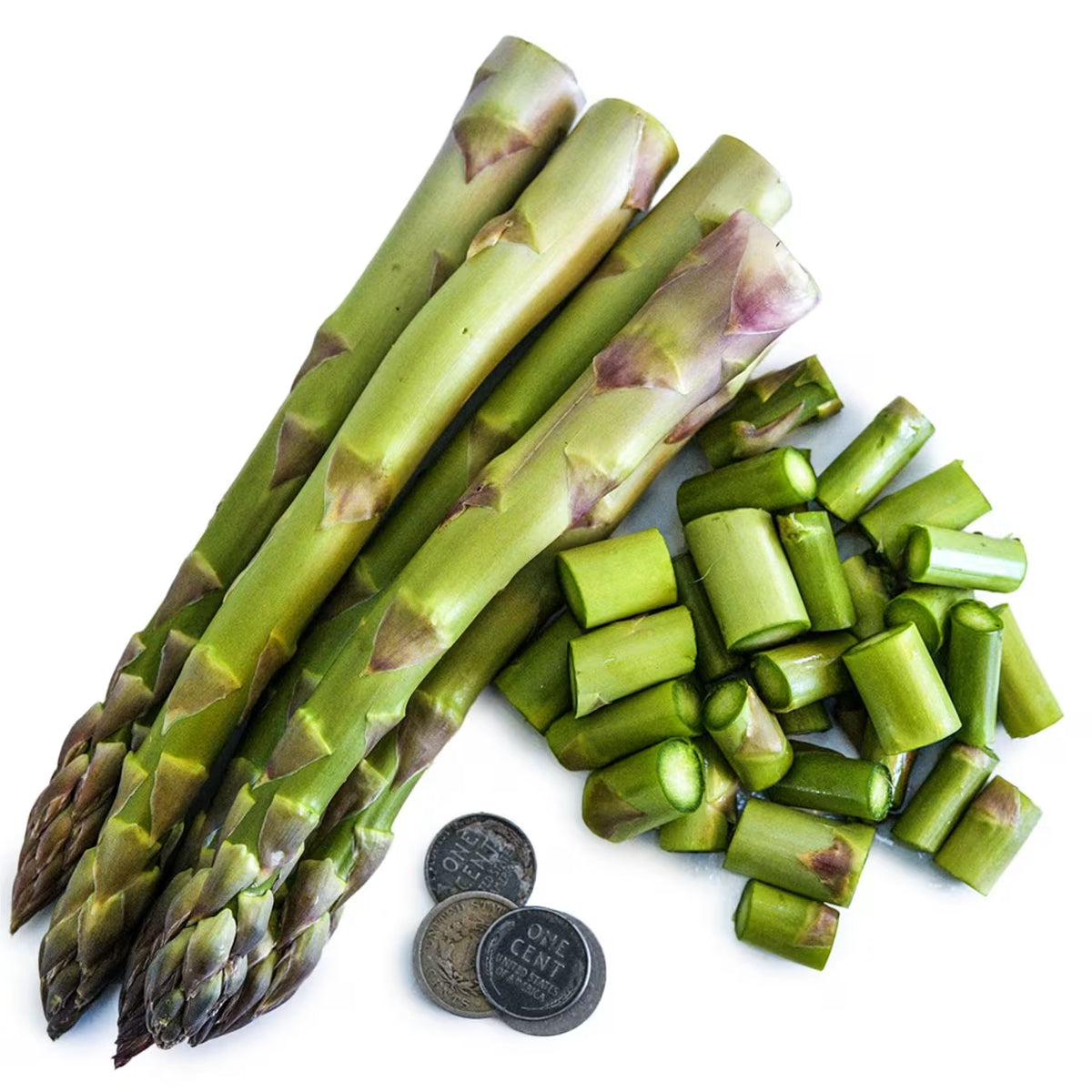 Asparagus Seeds, Conovers Colossal