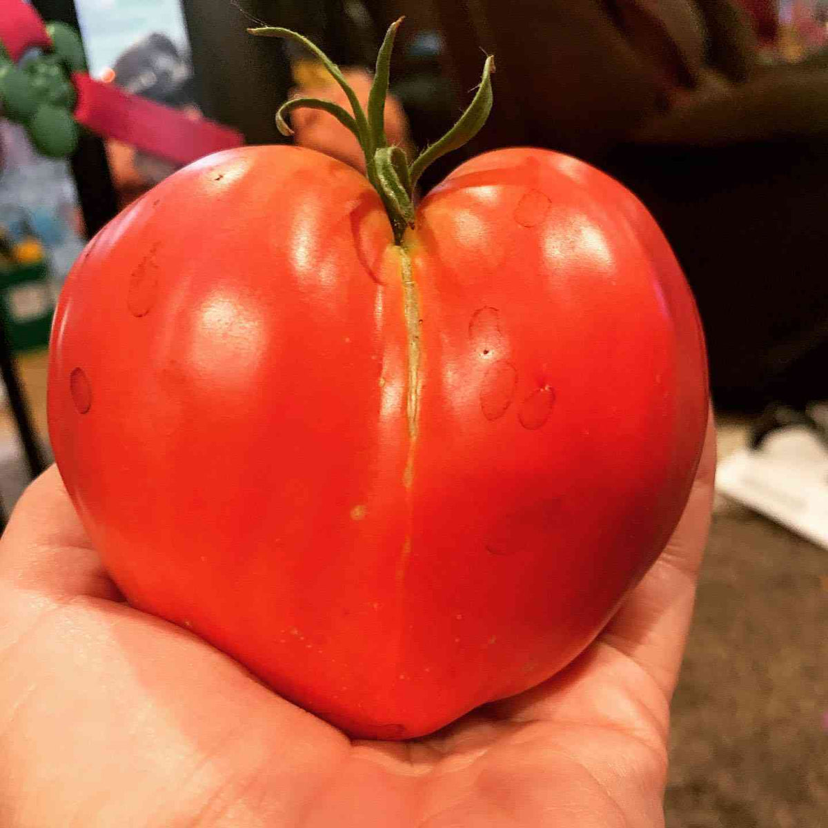 TOMATO BREAD AnD Salt