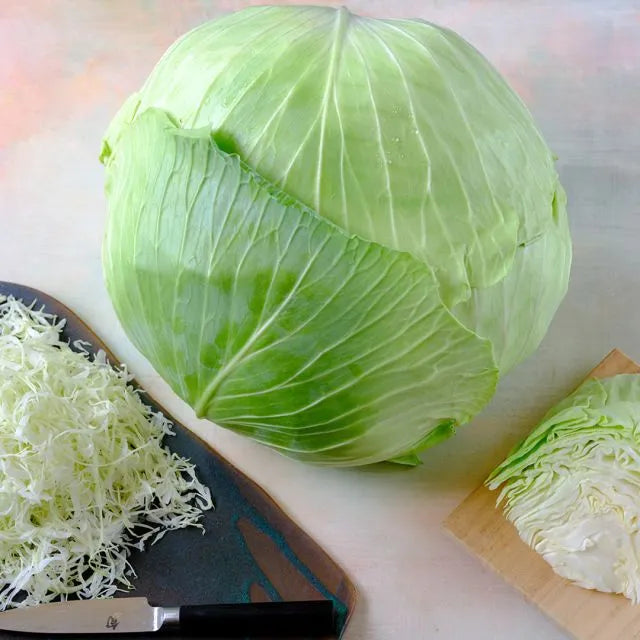 CABBAGE BrUNSwIcK