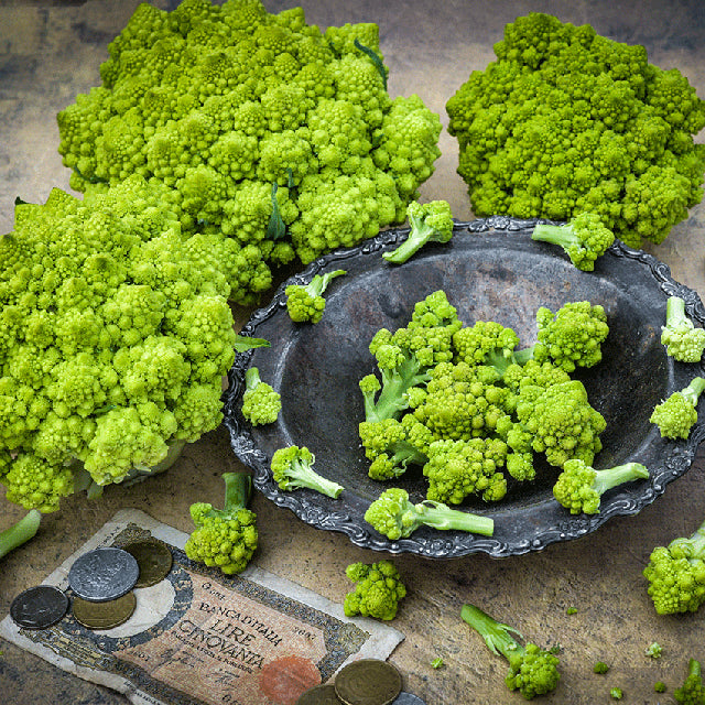 Romanesco Itália Cauliflower