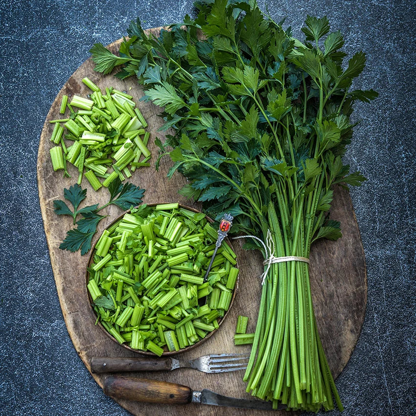 CELERY AMSTERDAM