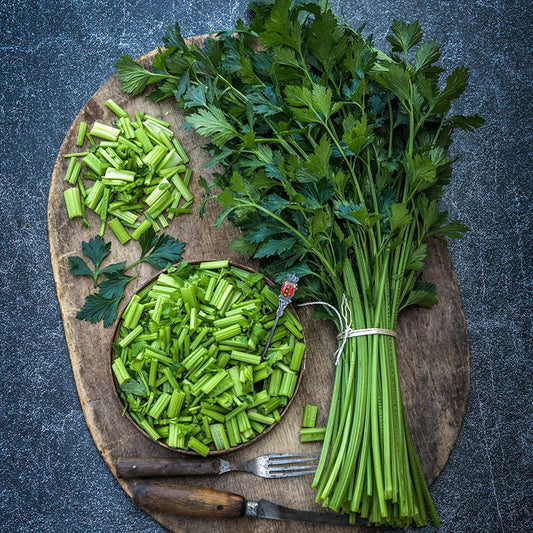 CELERY AMSTERDAM