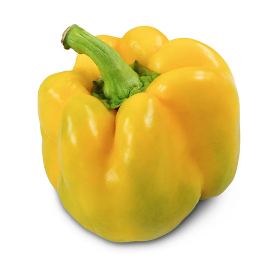Sweet Pepper Canary Bell