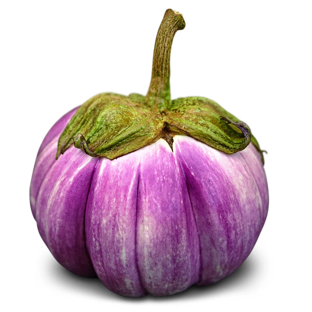 Eggplant Rosa Bianca