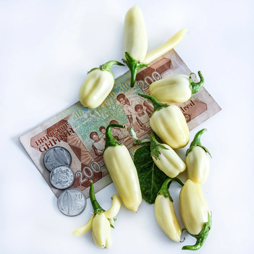 Eggplant African White