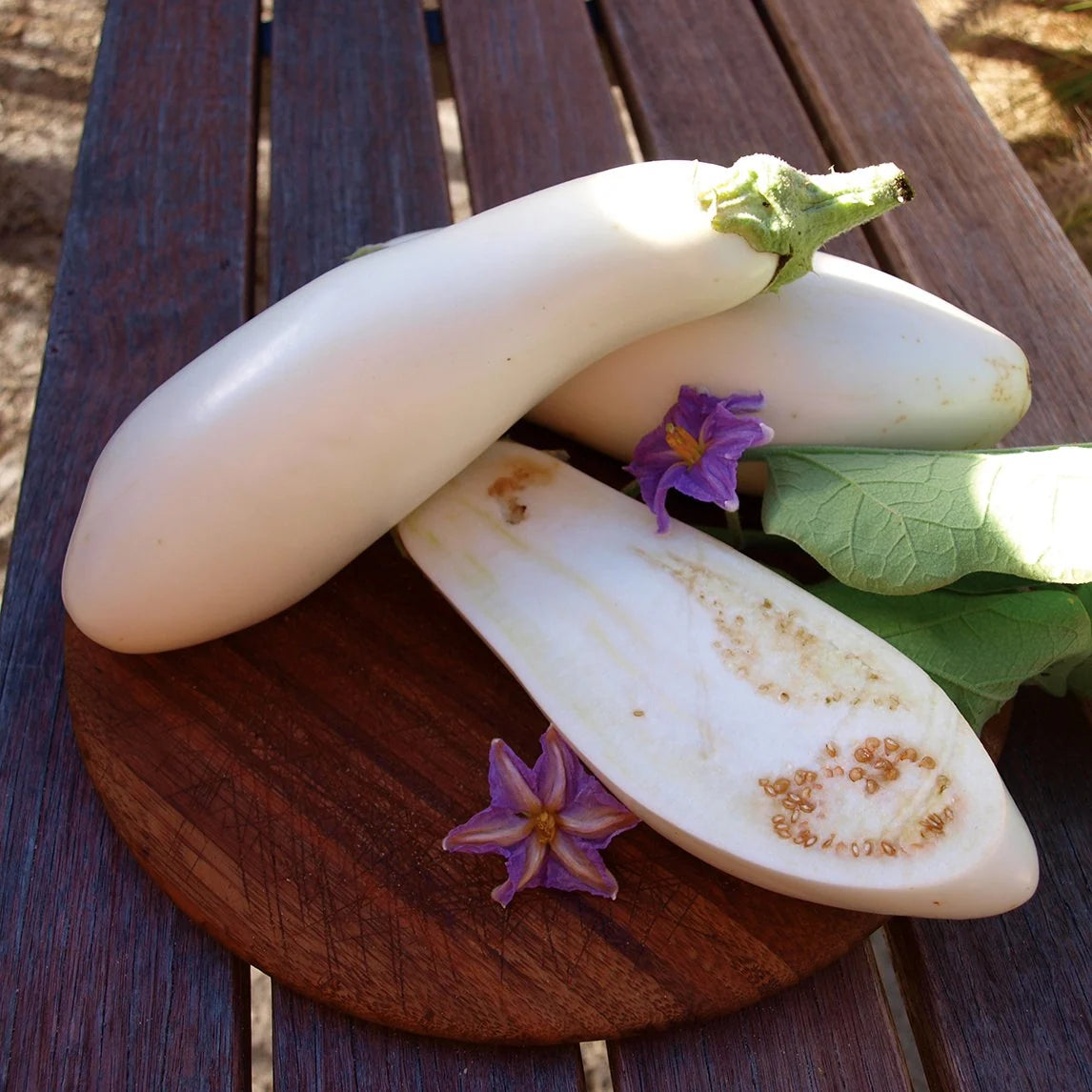 EGGPLANT CASPER