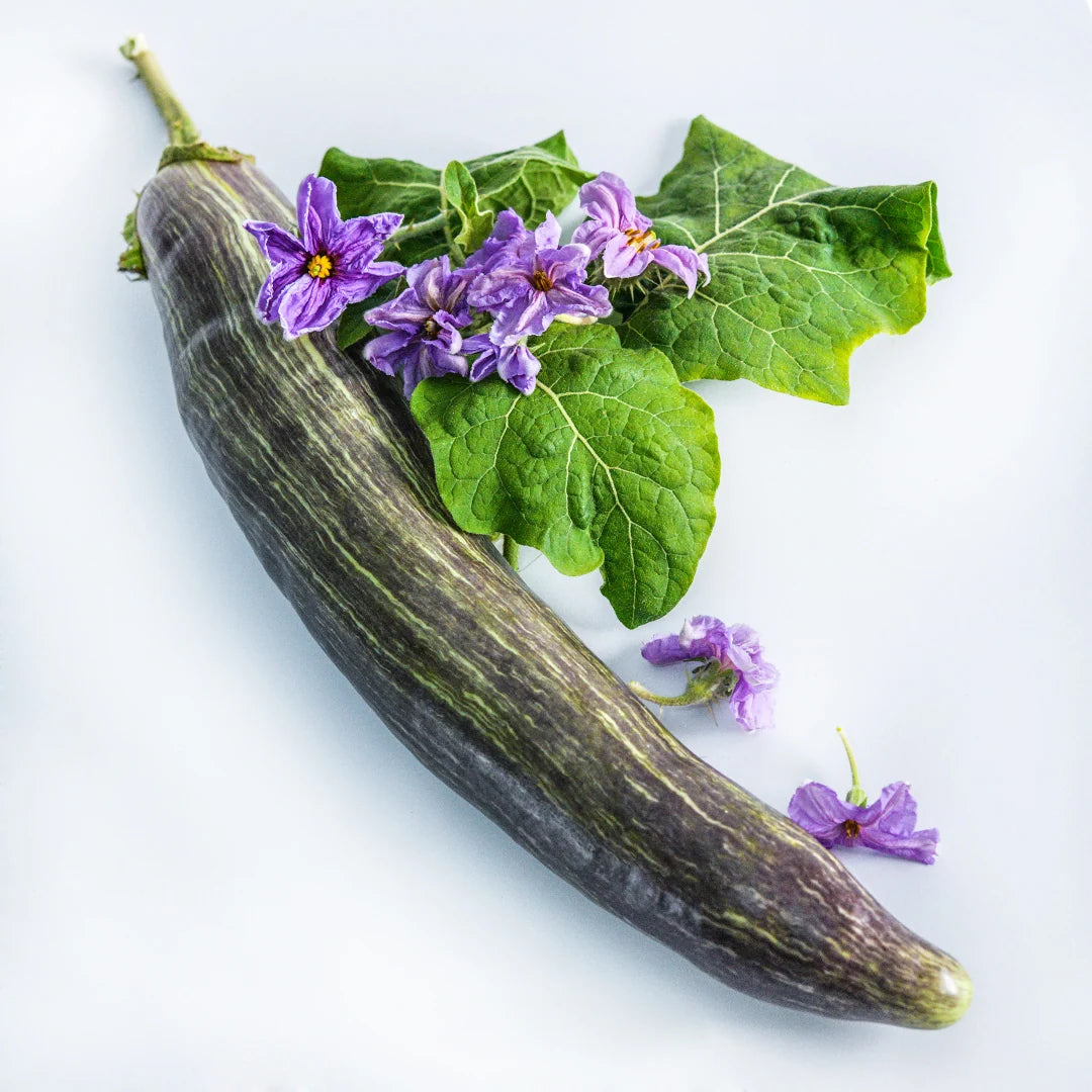 Eggplant Niranjan