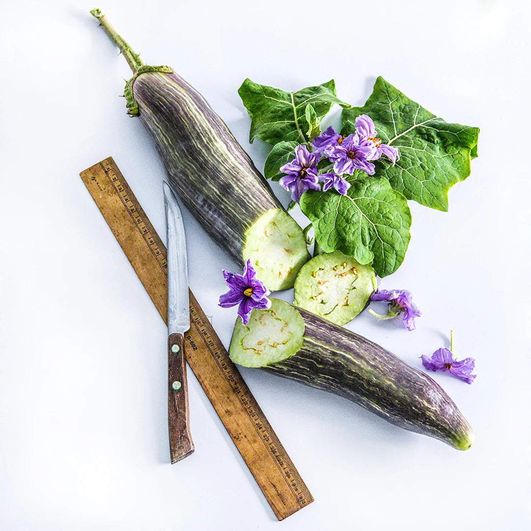 Eggplant Niranjan
