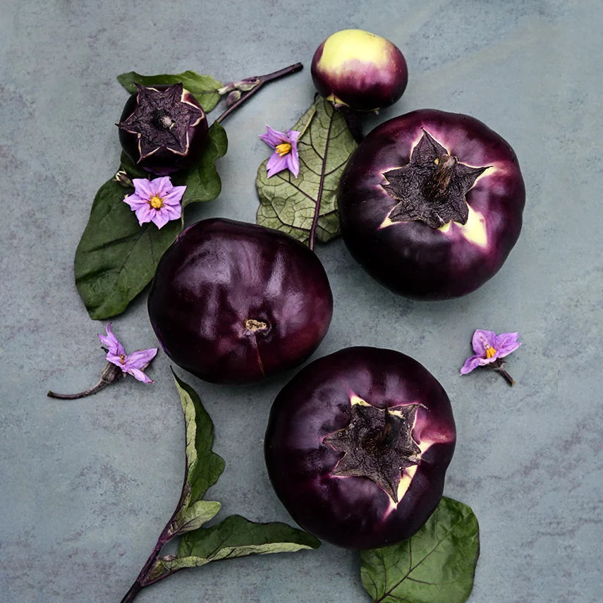 Eggplant Qi Ye Round