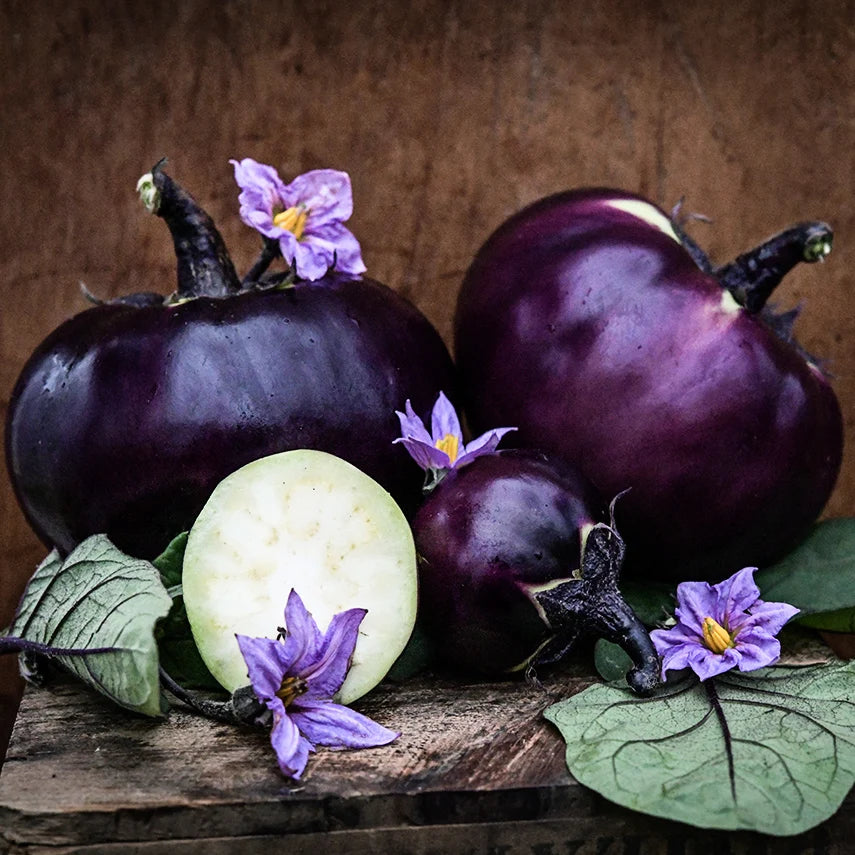 Eggplant Qi Ye Round