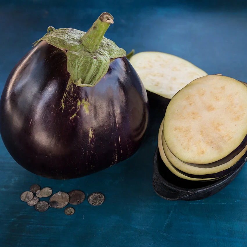 Eggplant  Aswad