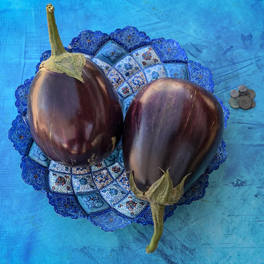 Eggplant  Aswad