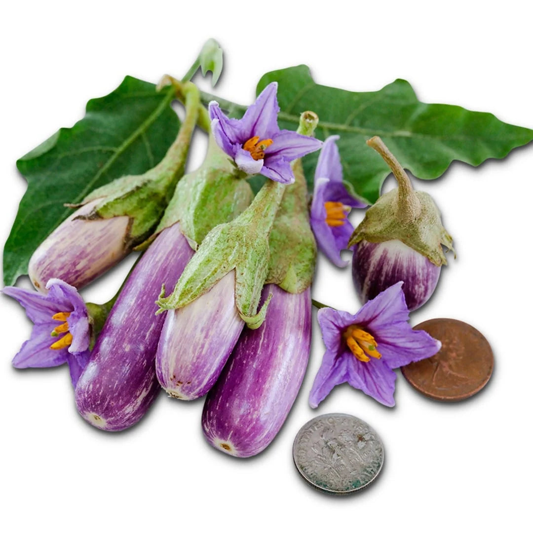 Eggplant Jewel Marble