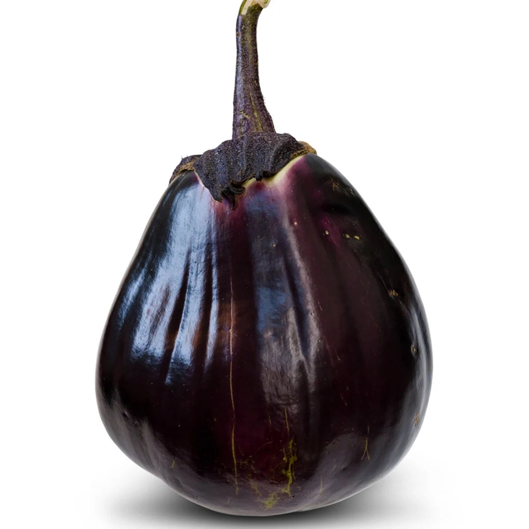 Eggplant  Mitoyo