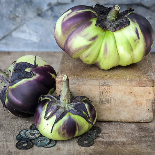 Eggplant Nagaoka Kinchaku