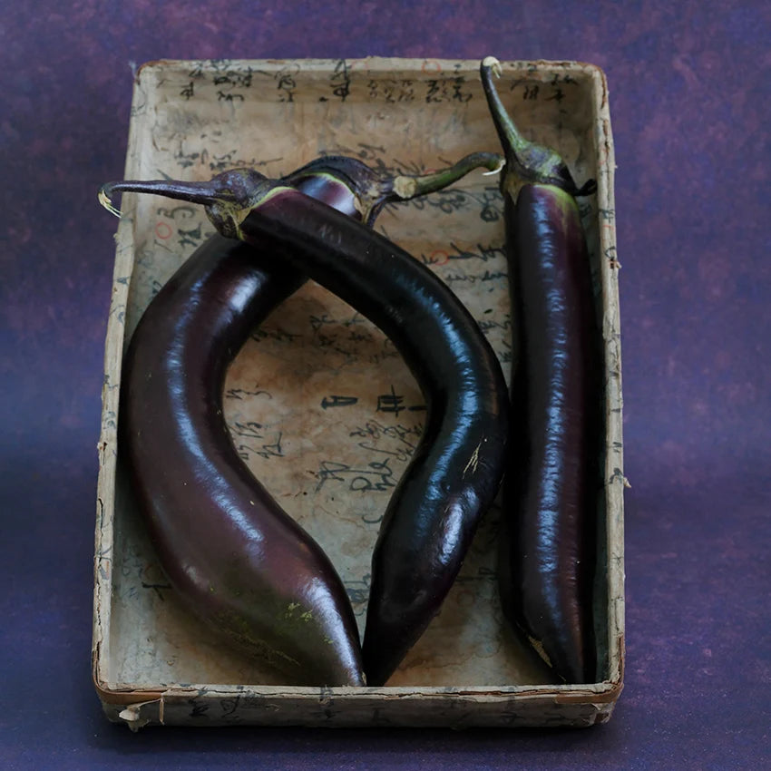 EGGPLANT NAGASAKI LONG