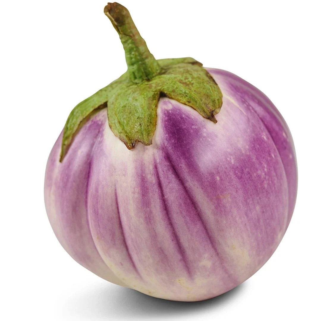 Eggplant Rosa Bianca