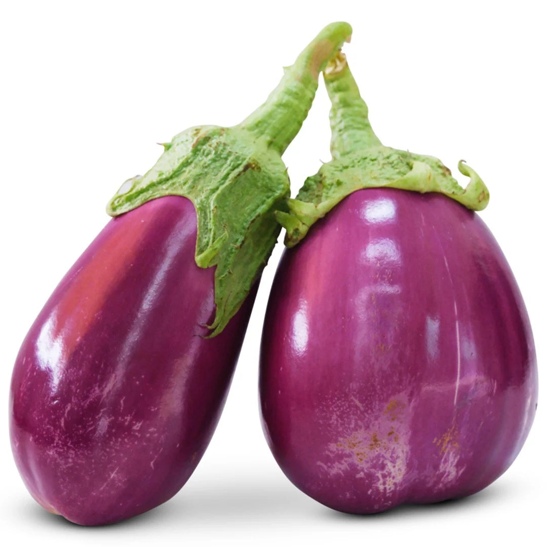 Eggplant Rosita