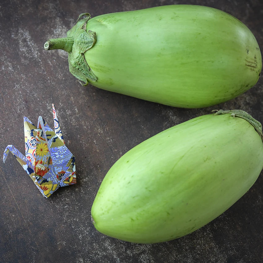 shiromaru eggplant