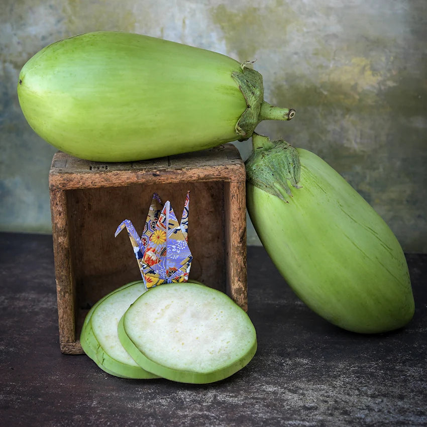 shiromaru eggplant