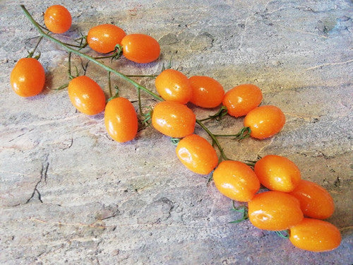 San Marzano isa