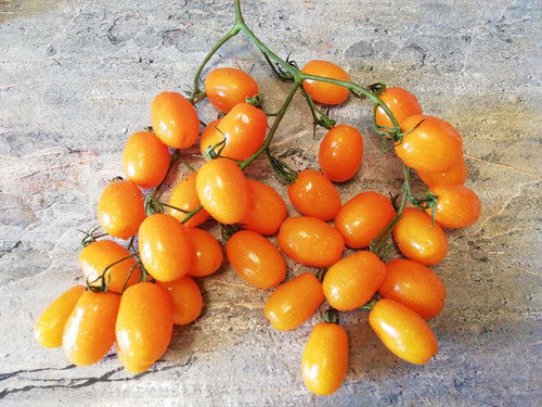 San Marzano isa