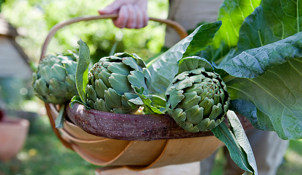 Artichoke