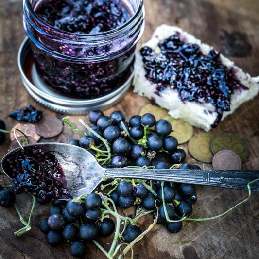 Huckleberry Seeds, Schwartzenbeeren Blackberries