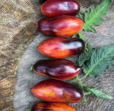 Ruby Red Slipper Tomato