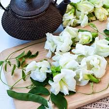 BUTTERFLY PEA WHITE QUEEN