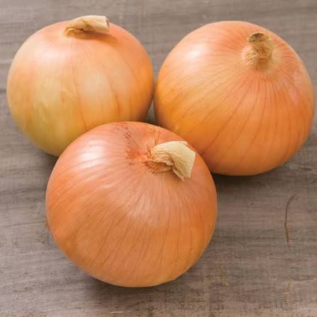 Hybrid yellow onions EXPRESSION