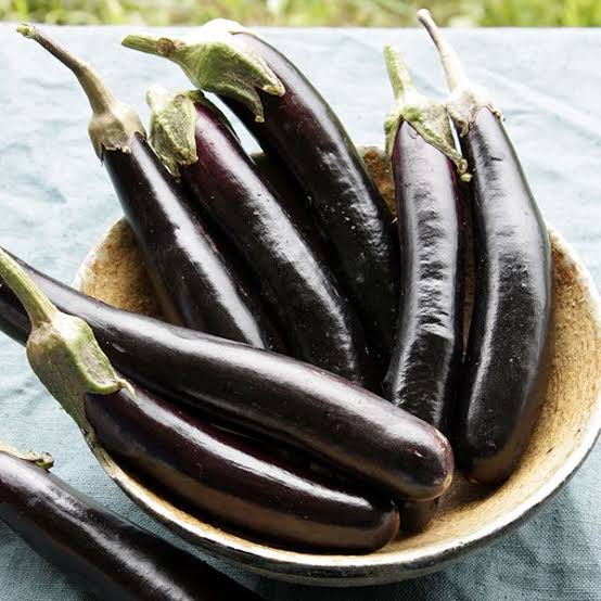 EGGPLANT LITTLE FINGERS