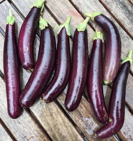 EGGPLANT LITTLE FINGERS