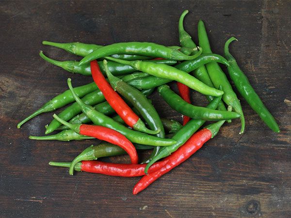 PEPPER KOREAN DARK GREEN