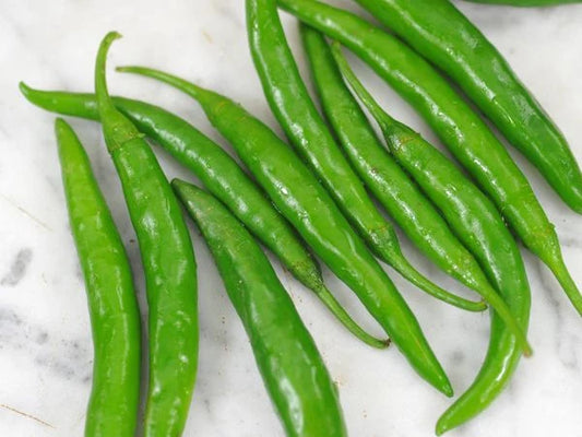 PEPPER KOREAN DARK GREEN