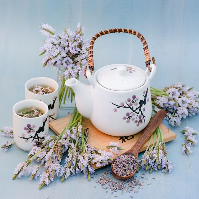Lavender Torch Minty Ice