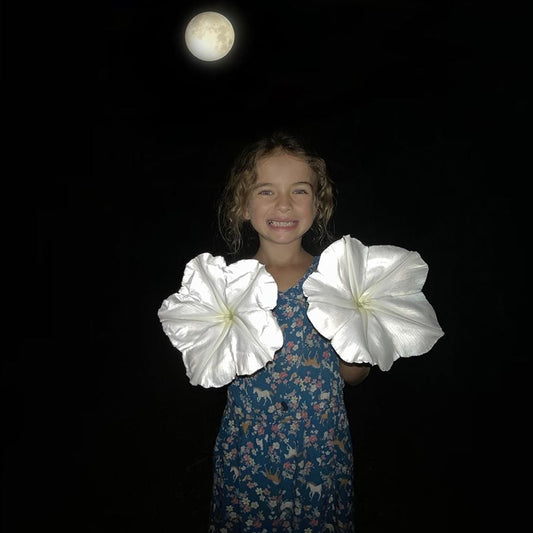 GIANT MOONFLOWER