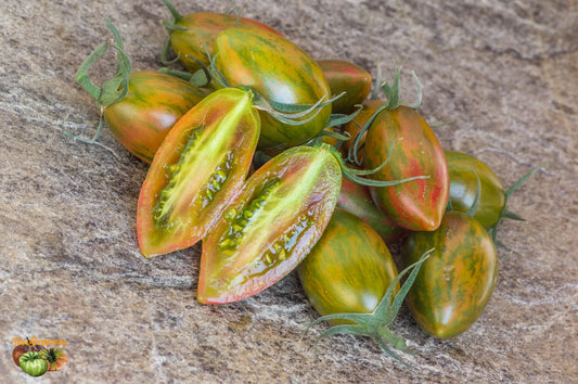 Artisan Tomatoes LUCKY TIGER
