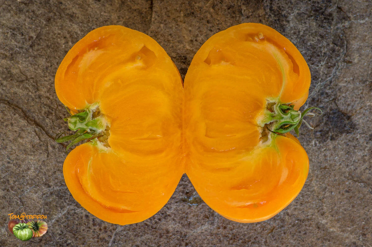 Томато ORAnGE JAZZ