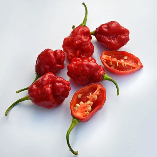 Sweet Pepper Sweet Moruga