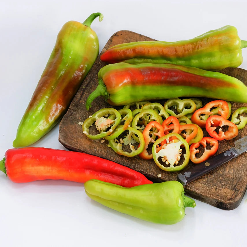 Sweet Pepper Giant Aconcagua