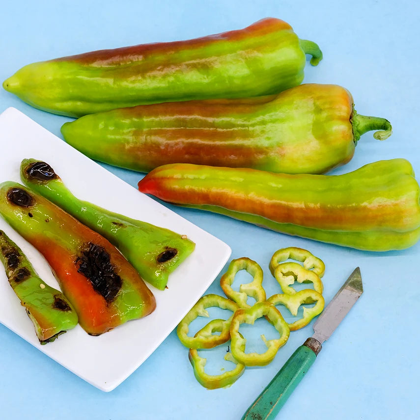 Sweet Pepper Giant Aconcagua
