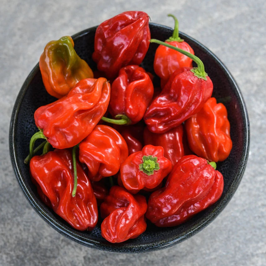 Sweet Pepper Arroz Con Pollo