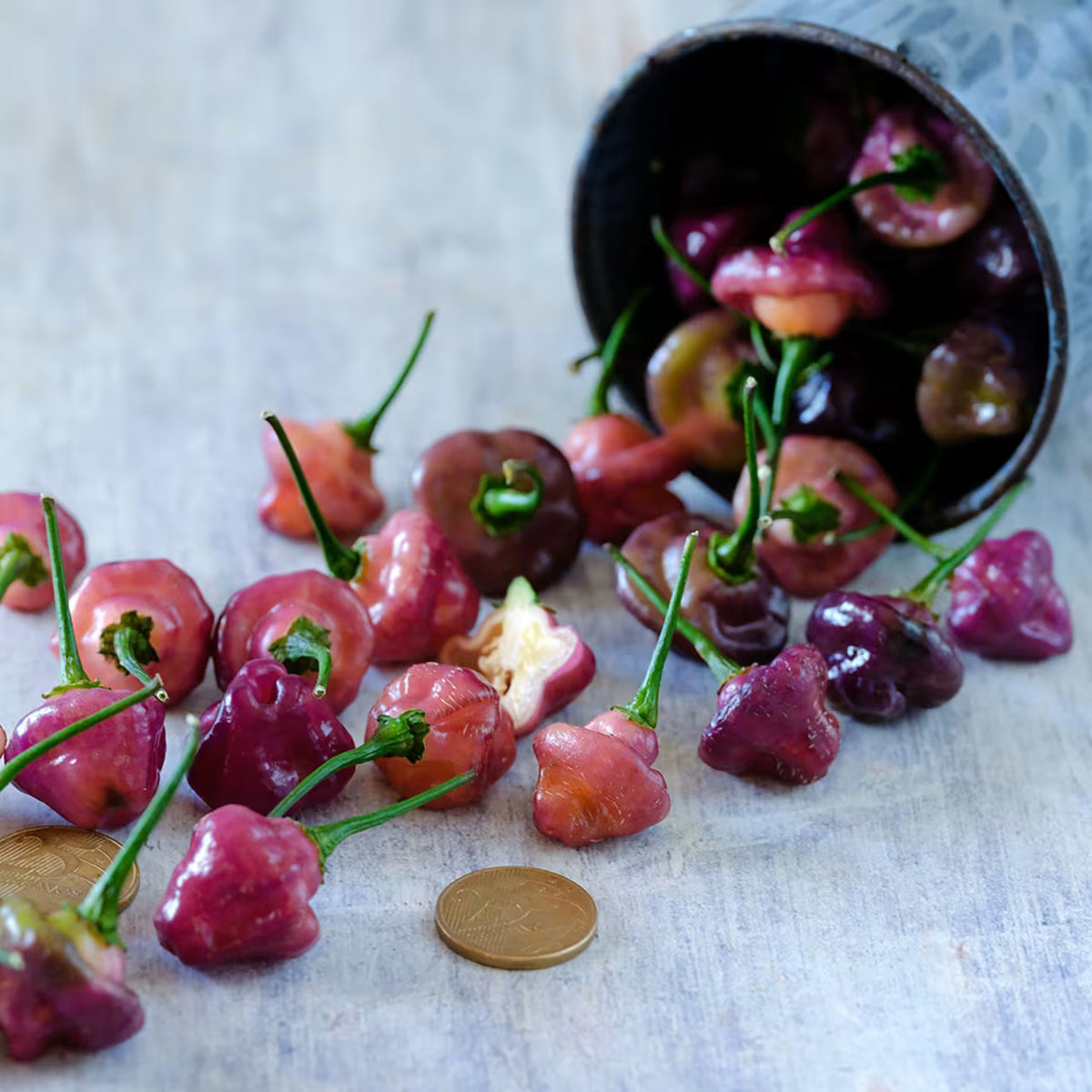 Hot Pepper Purple Perfume (Cheiro Roxa)