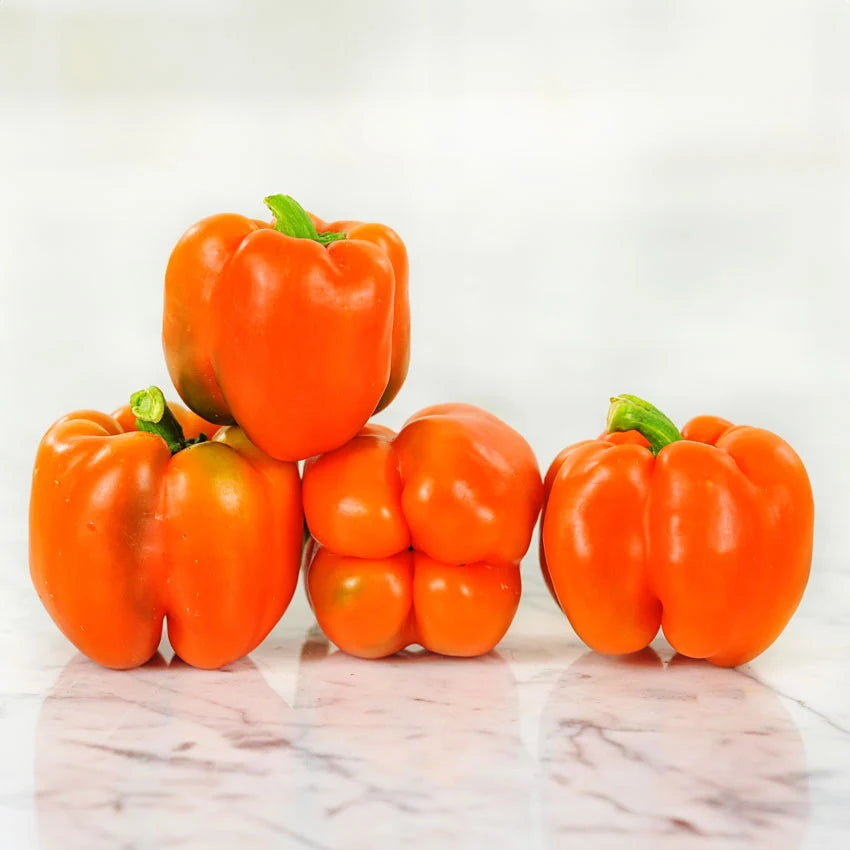 Sweet Pepper Etiuda